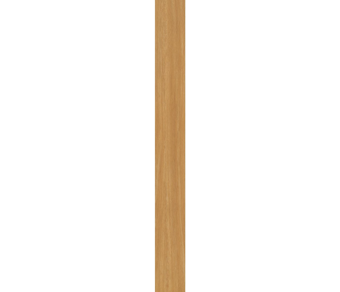 Rocky Mountain Oak
