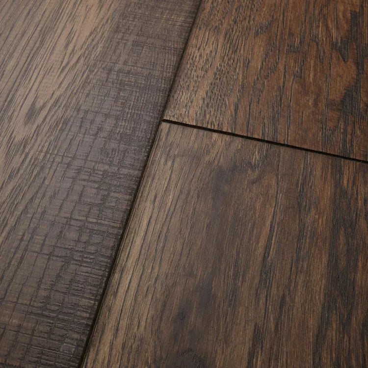 Hillside Hickory: Acorn