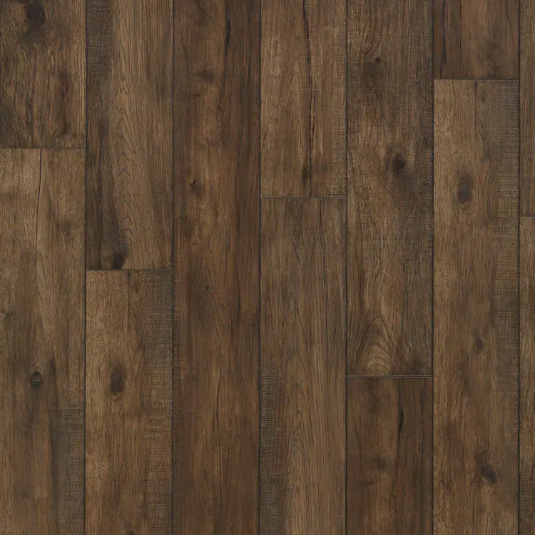 Hillside Hickory: Acorn