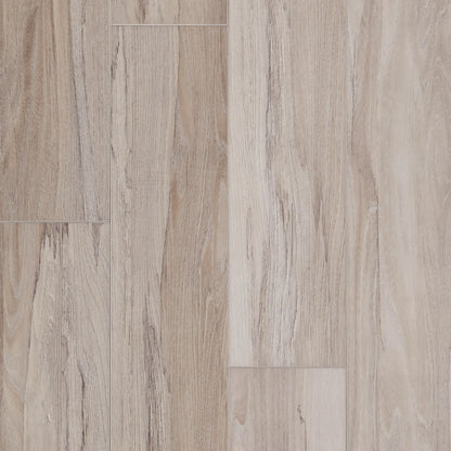 Spalted Wych Elm Dew