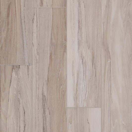 Spalted Wych Elm Dew