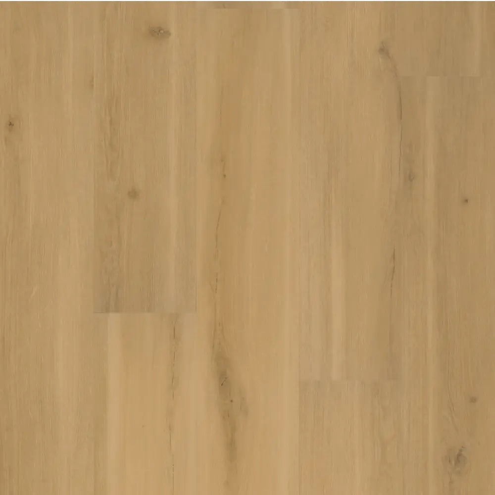 Swiss Oak Praline