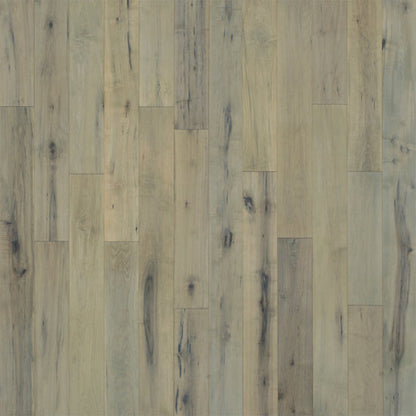 Novella Collection: American Hickory 6"