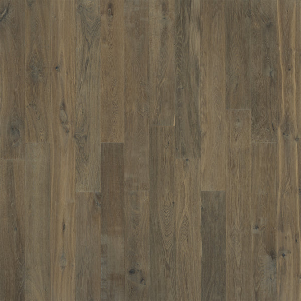 Novella Collection: American Hickory 6"