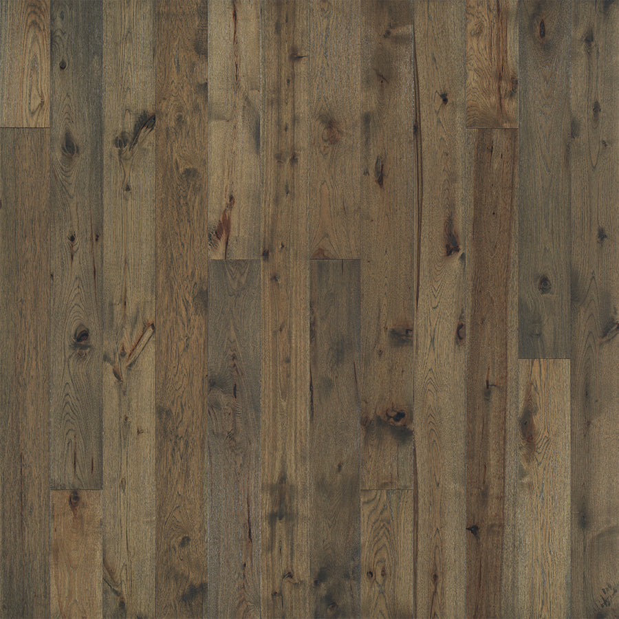 Novella Collection: American Hickory 6"