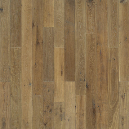 Novella Collection: European Oak 6"