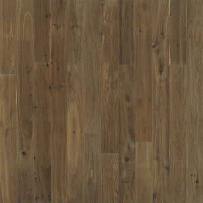 Novella Collection: European Oak 6"