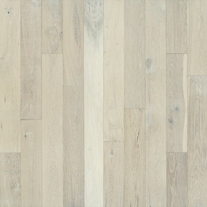 Ventura: European Oak 7.5"