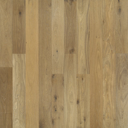 Ventura: European Oak 7.5"