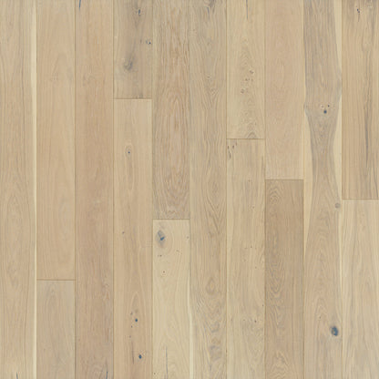 Ventura: European Oak 7.5"