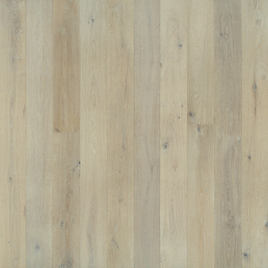 Alta Vista Collection: European Oak 7.5"