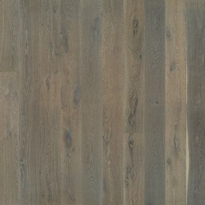 Alta Vista Collection: European Oak 7.5"