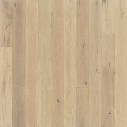 Alta Vista Collection: European Oak 7.5"