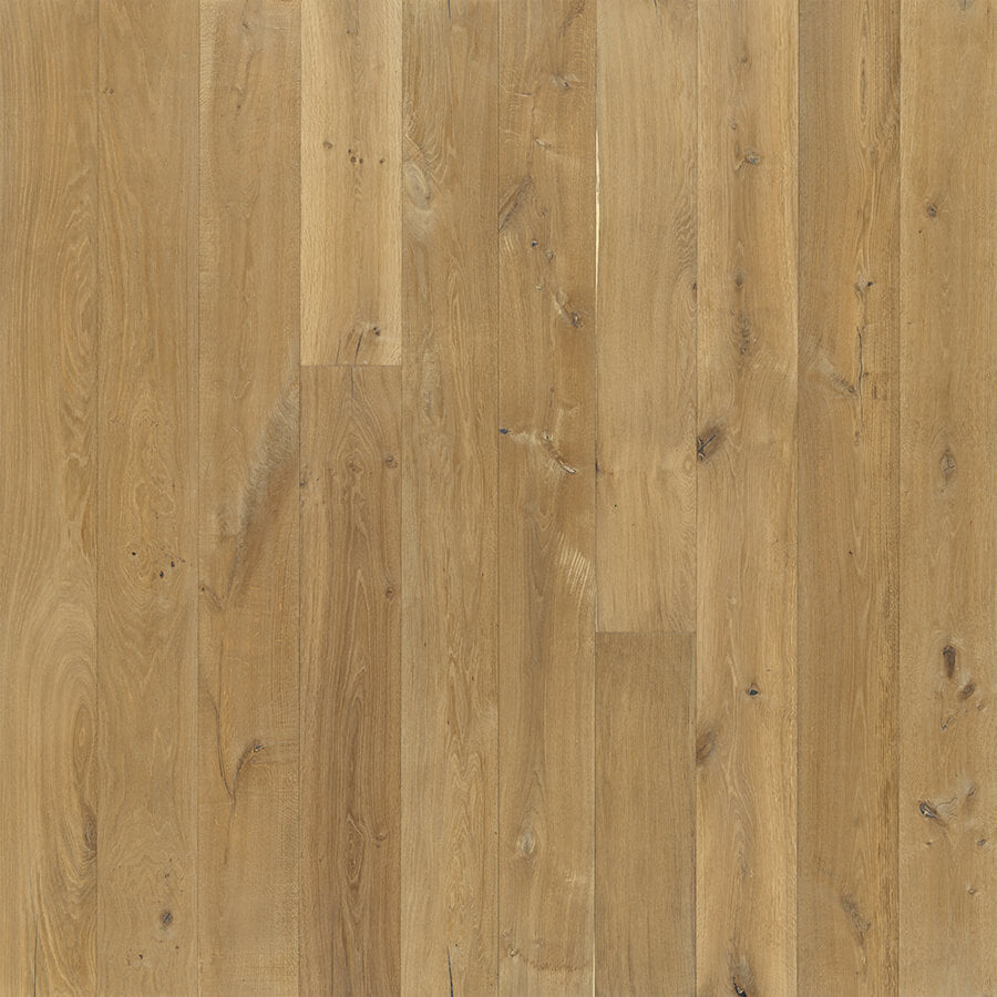 Alta Vista Collection: European Oak 7.5"